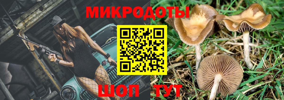 Крымск  Псилоцибиновые грибы GOLDEN TEACHER  Галлюциногенные грибы MAGIC MUSHROOMS  Вход с VPN 